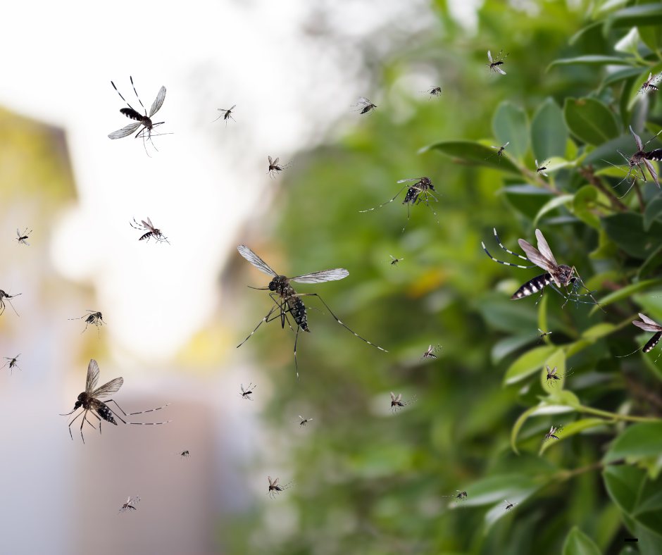 אילוסטרציה (canva) אילוסטרציה (canva)