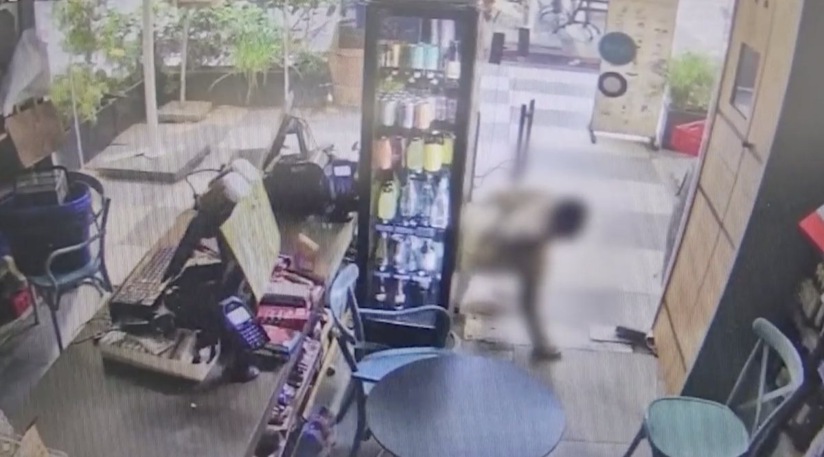 צילום: דוברות המשטרה