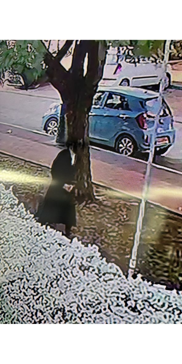 רשתות חברתיות 