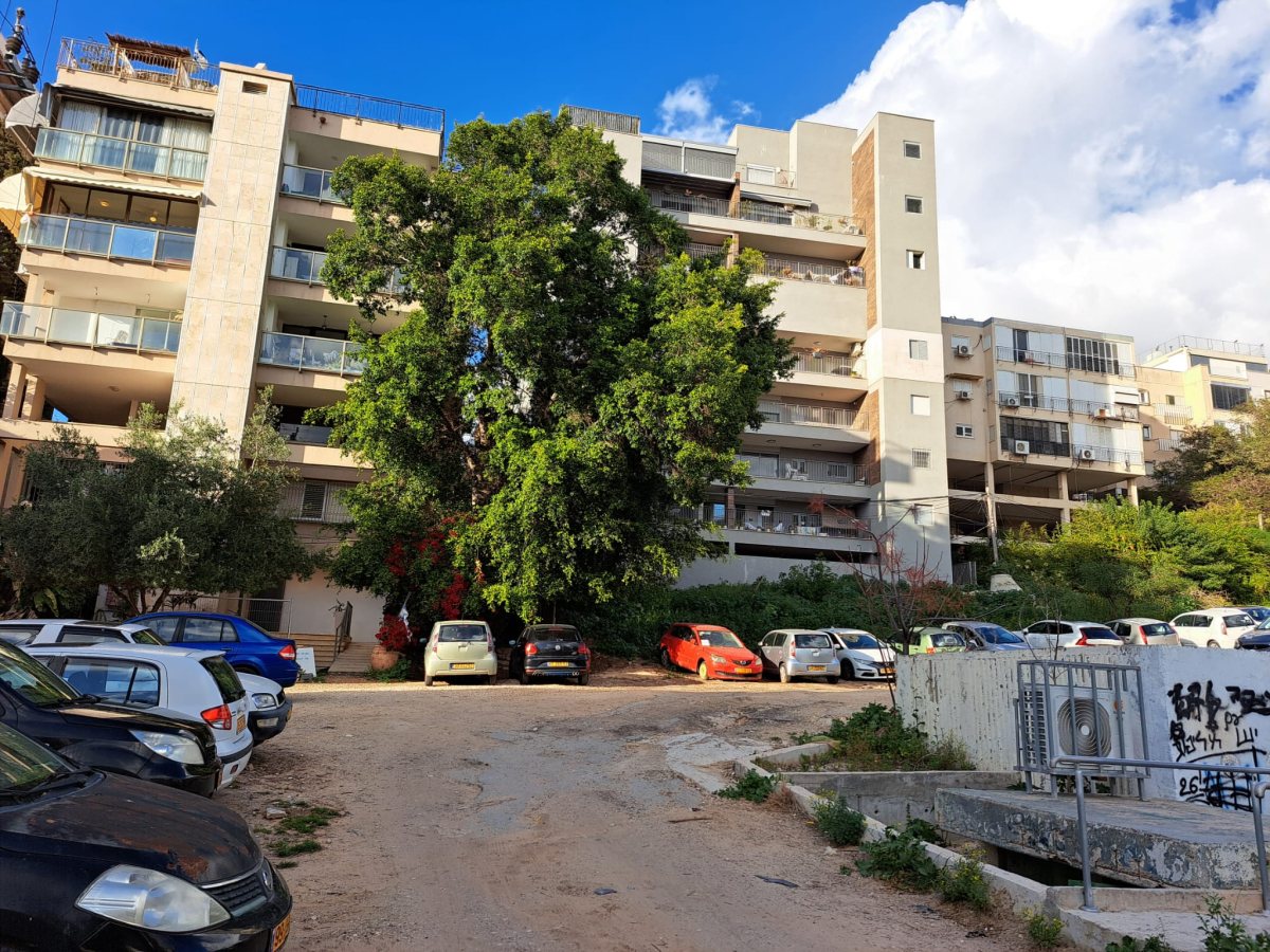 צילום: פרטי