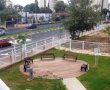 הפקחים "אורבים בשיחים" לבעלי הכלבים