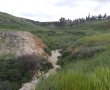 החזון של רוביק לבאר שבע: עיר מלאה בנחלים ירוקים, הייתכן?