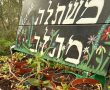 "ט"ו בשבט הגיע": צאו לסיור חינמי בגינות הקהילתיות המרהיבות של ירושלים