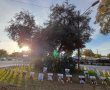 עד שכולם יחזרו: מיצג חטופים הוקם בכניסה לתל השומר