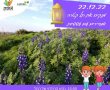 יום ניקיון וסיור עששיות בתל קטרה