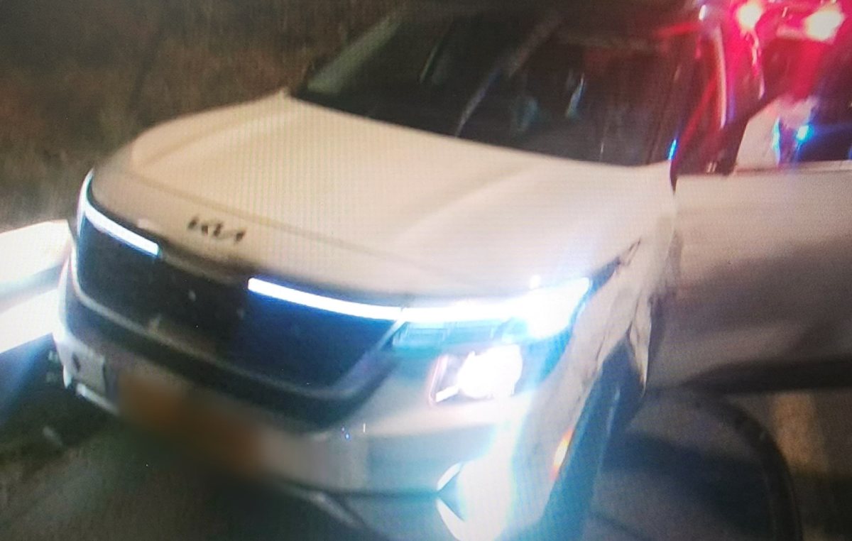 צילום: דוברות המשטרה