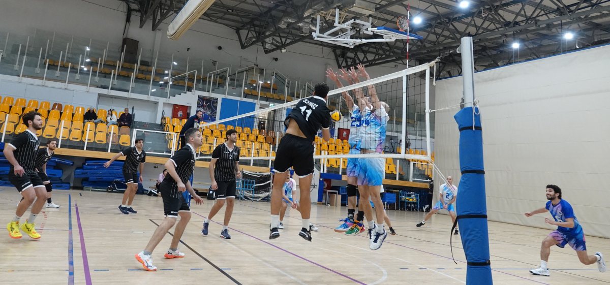 צילום: רובין יצחק