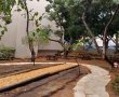 חוגגים את ט"ו בשבט בגבעתיים: נטיעות ואירועים לכל המשפחה