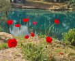 רשות הטבע והגנים פותחת מחדש את מרבית הגנים הלאומיים ושמורות הטבע ברחבי הארץ